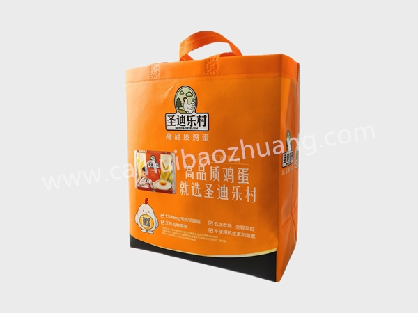 彩匯包裝 食品用無紡布袋 ，環保手提袋，定制手提袋