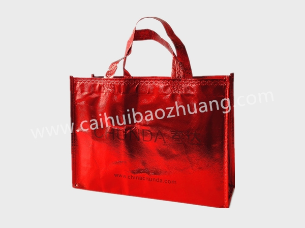 彩匯包裝無紡布鞋袋、定制手提袋