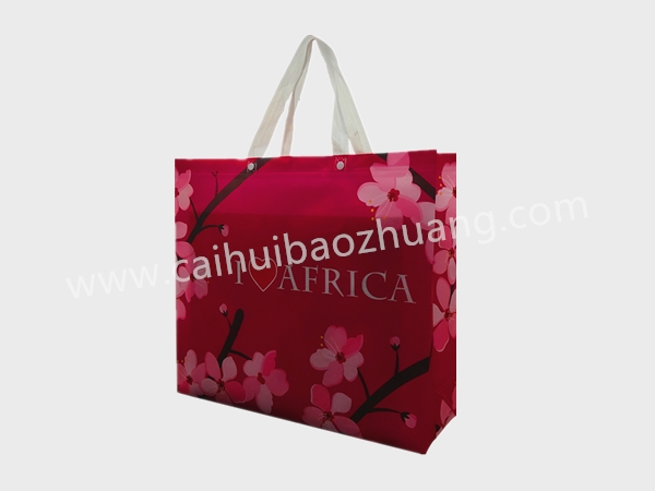 彩匯包裝 時尚花朵手提袋  外貿手提袋