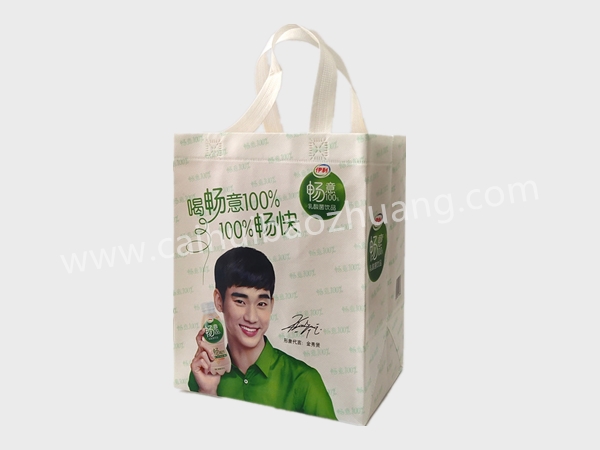 彩匯包裝 飲料禮盒手提袋  無紡布飲料包裝袋